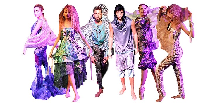 cecile.collection